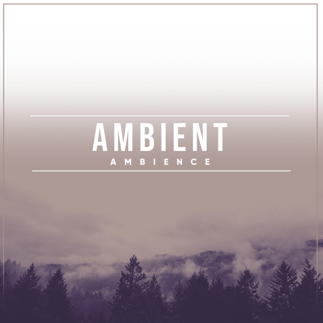 Splashes of Rain - song and lyrics by Rainforest Ambience, Rain Sounds ...
