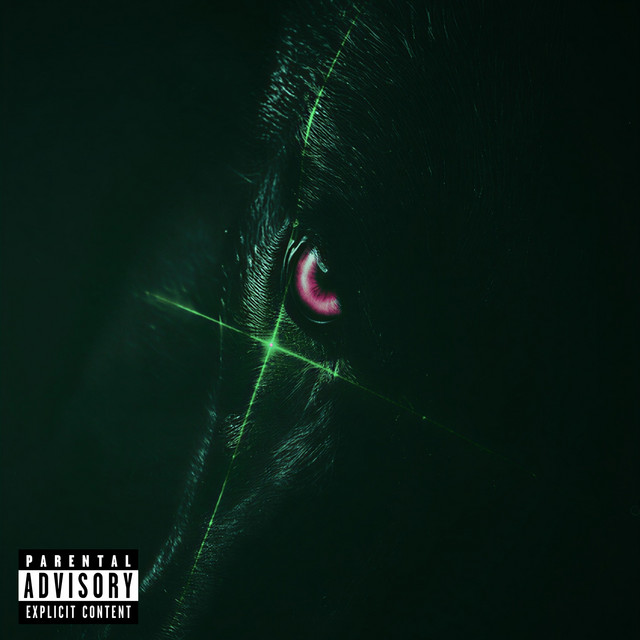 Pointed cover art