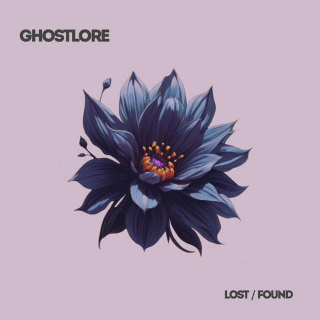 Lost / Found cover art