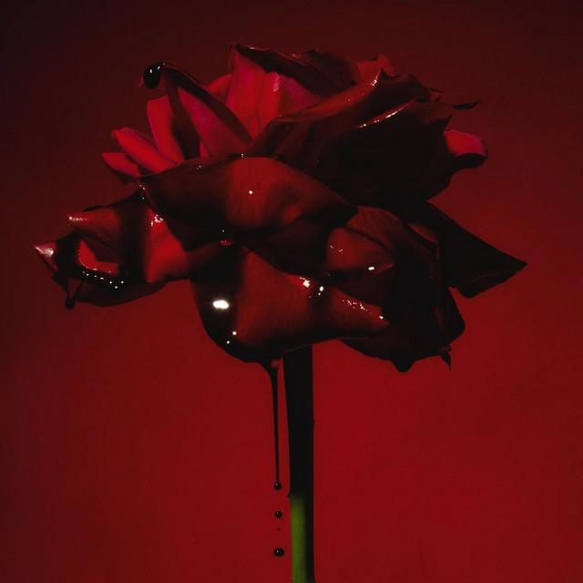Dead Roses