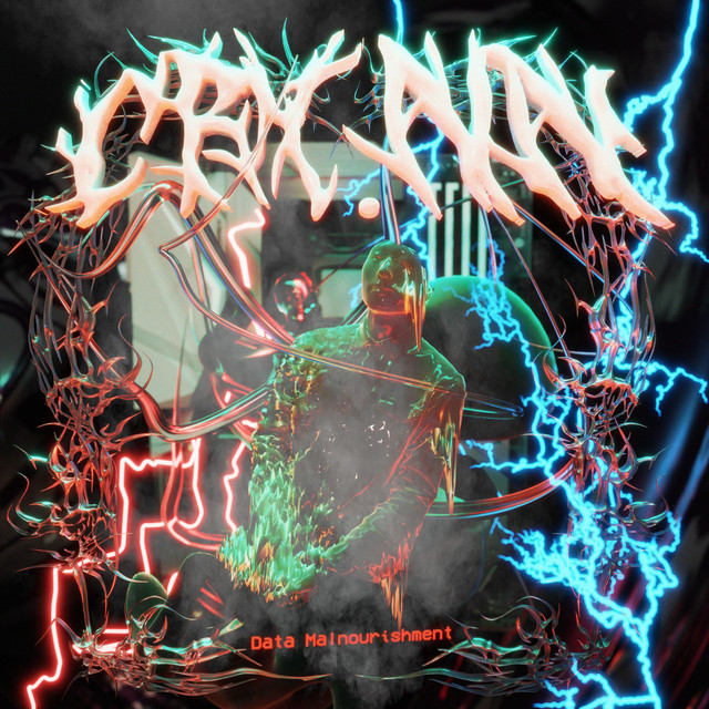 DATA MALNOURISHMENT cover art