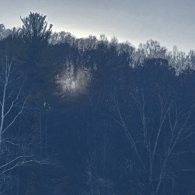 Trail of Mythical Trees cover