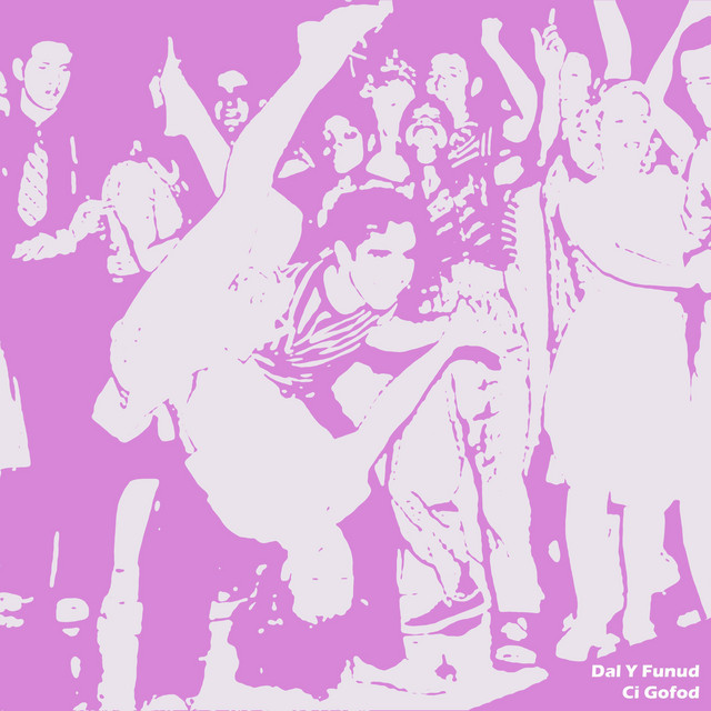Dal Y Funud cover