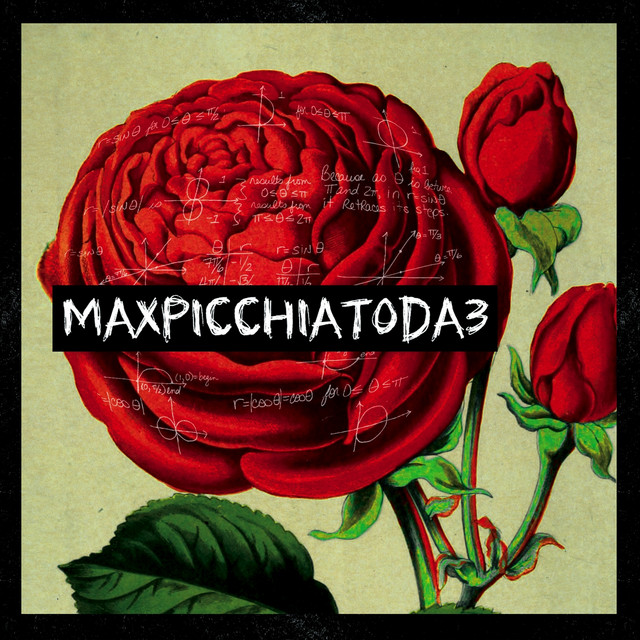 Maxpicchiatoda3