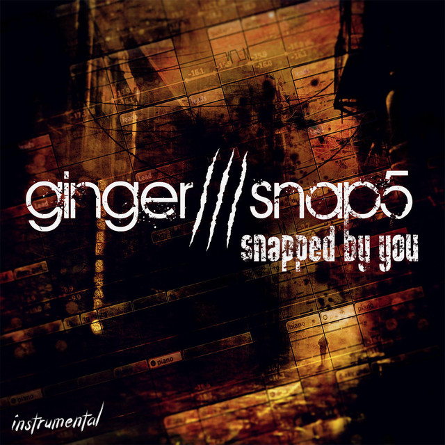 Snapped by You (Instrumental) cover art