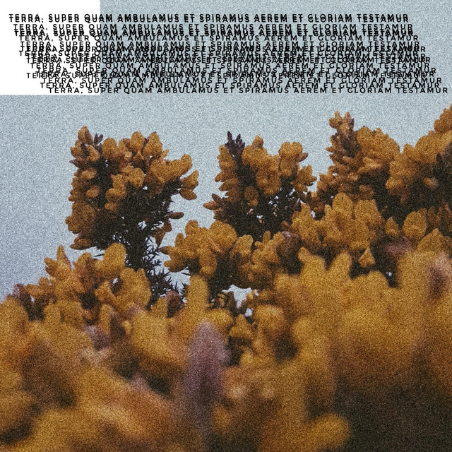 fauna cover art