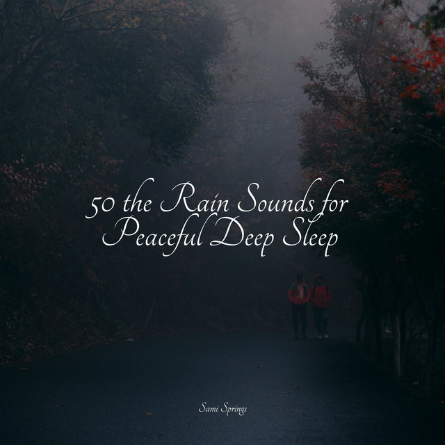 50 the Rain Sounds for Peaceful Deep Sleep - Album by Nature Sounds ...
