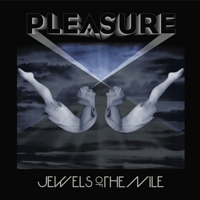 Pleasure cover art