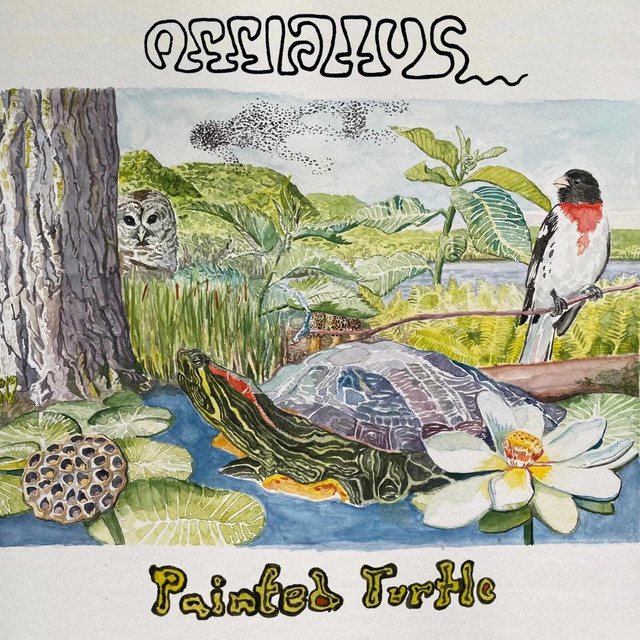 Painted Turtle cover art