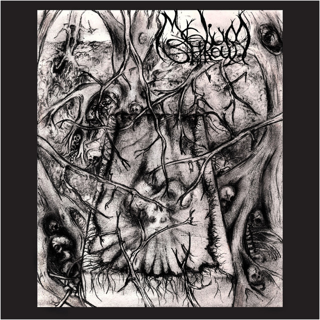 Mycelium Shroud
