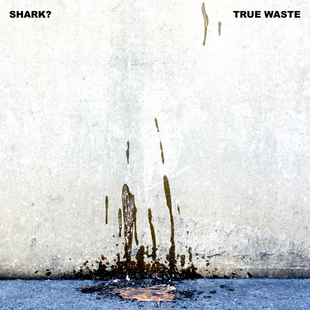 True Waste cover art