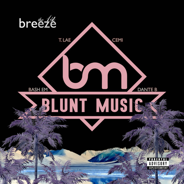 The 1st Breeze cover art