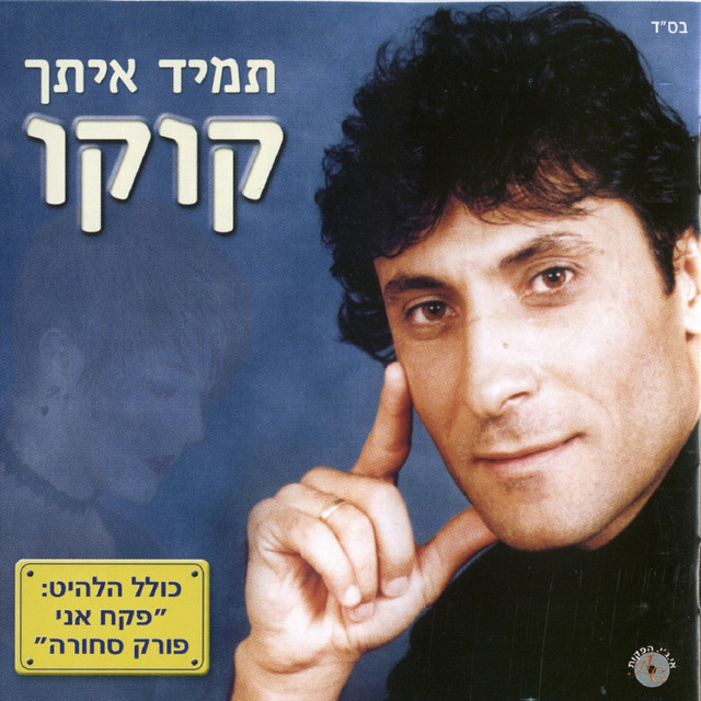 תמיד איתך cover art