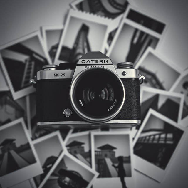 Fotos en Blanco y Negro