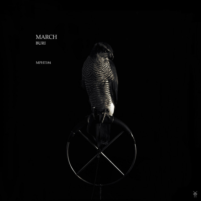 Buri cover art