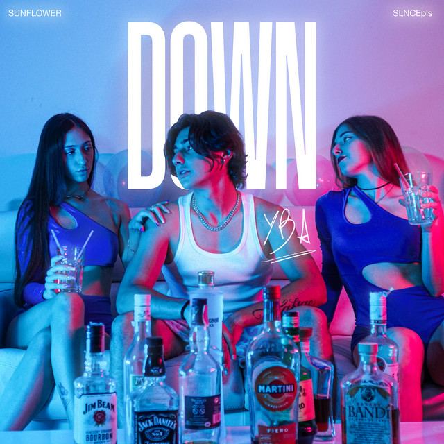 Down cover art