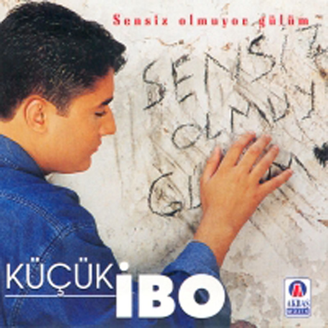 Sensiz Olmuyor Gülüm cover art