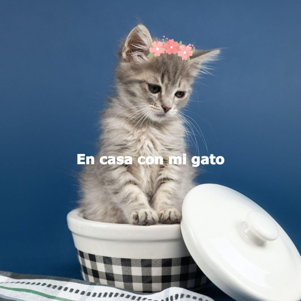 En casa con mi gato cover art