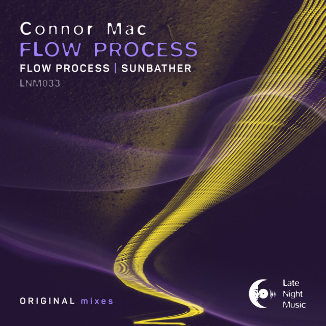 Flow Process cover art