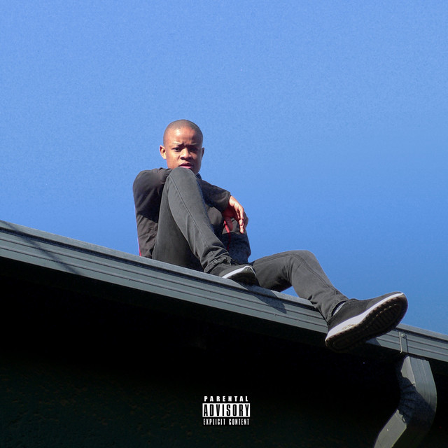 Shame cover art