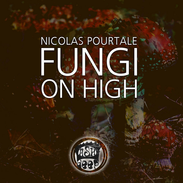 Fungi On High cover art