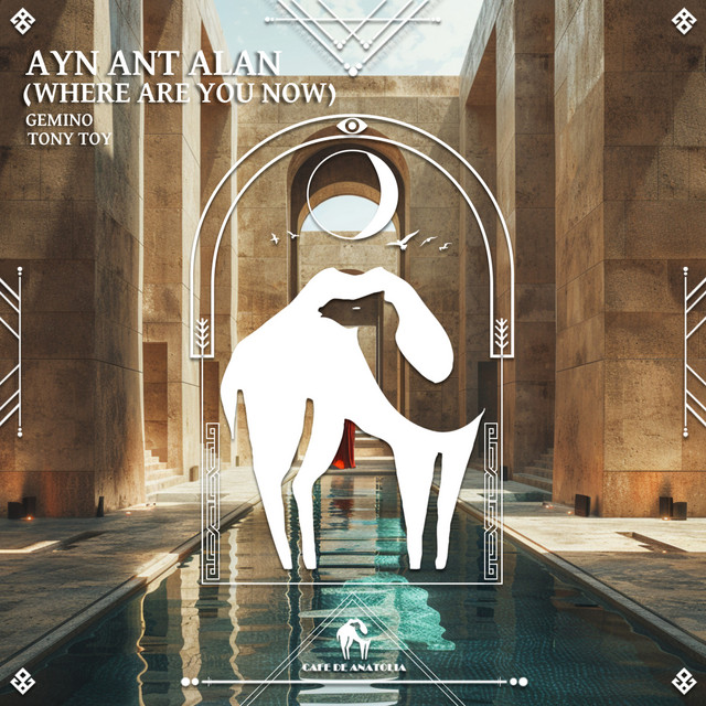 Обкладинка: Ayn Ant Alan (Where Are You Now) — GEMINO