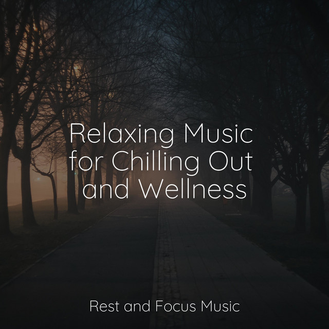 Relaxing Music for Chilling Out and Wellness - Album by Bath Spa ...
