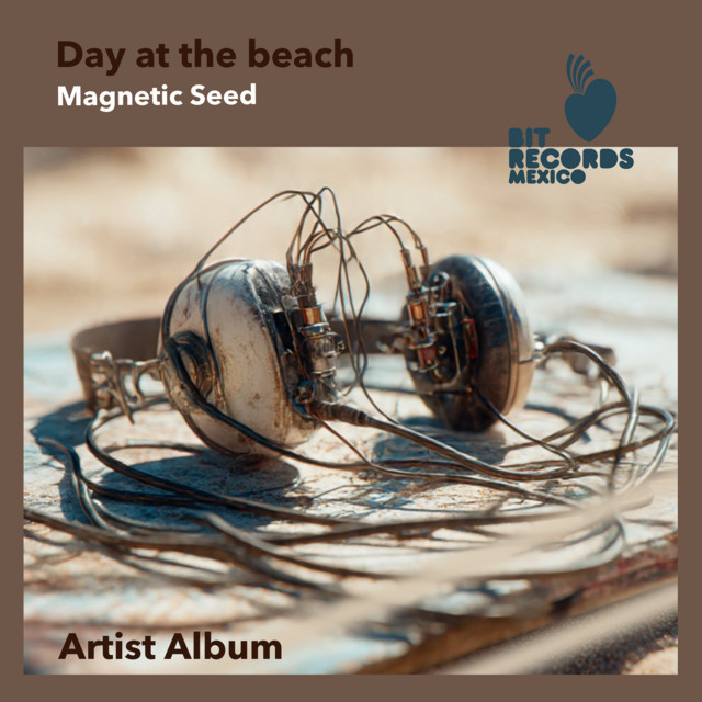 Day at the beach Mixing - Mixed cover art