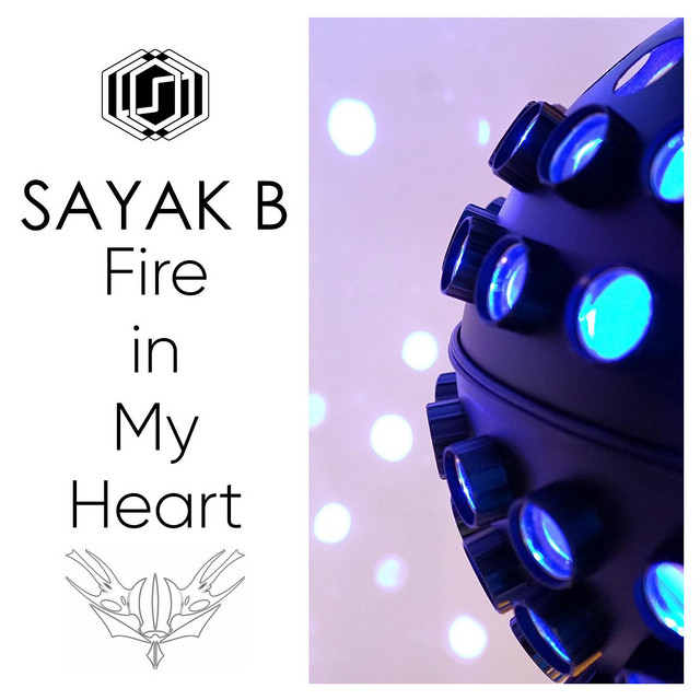 Fire in My Heart cover art