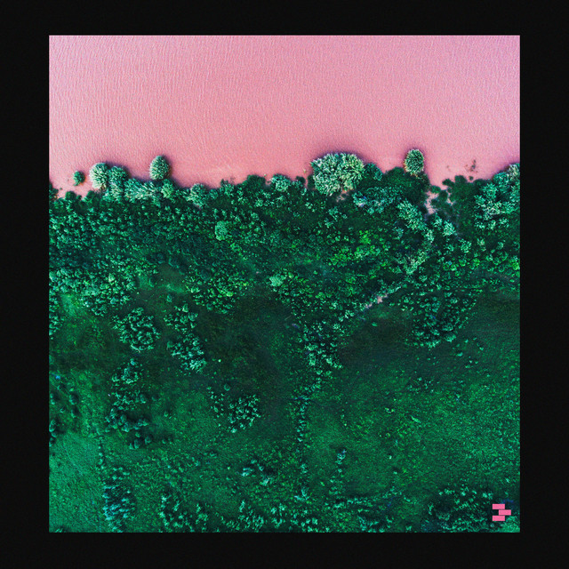 Angry Swarms album art