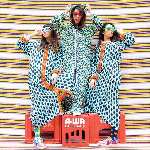Habib Galbi cover art