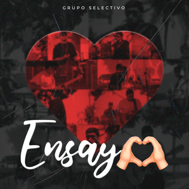 Ensayo (En Vivo) album image