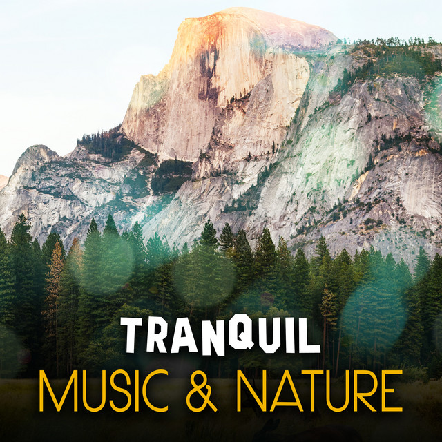Tranquil Music & Nature - Album by Sleep Sounds Of Nature | Spotify