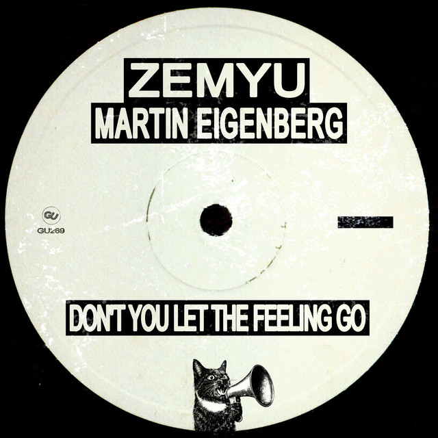 Don't You Let The Feeling Go cover