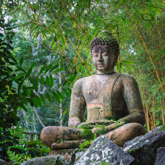 Buddha Garden cover art