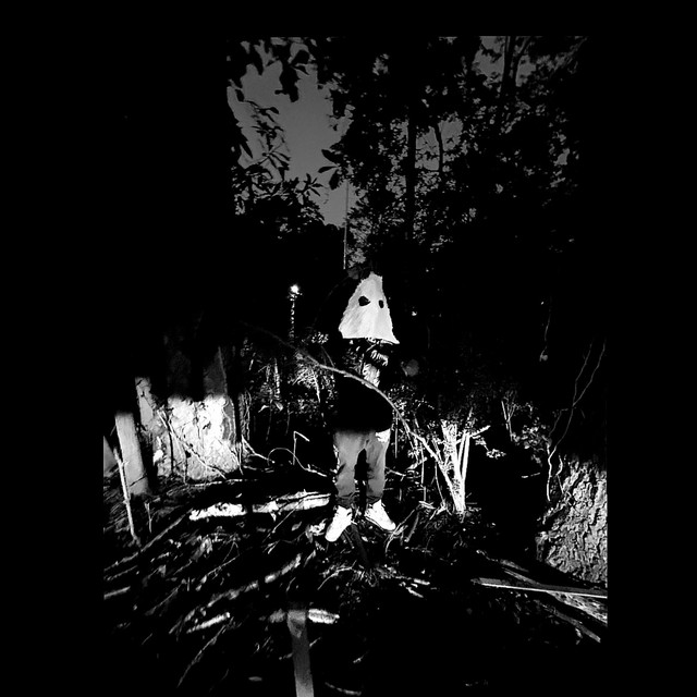DFWN cover art