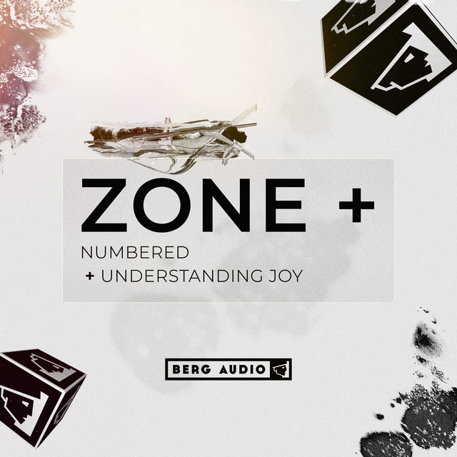 Numbered & Understanding Joy cover art