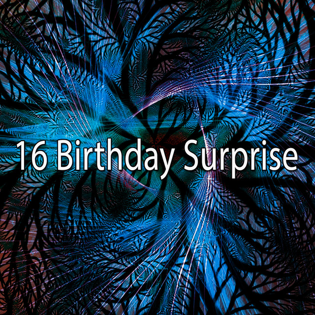 16 Birthday Surprise cover art