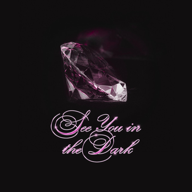See You in the Dark artwork