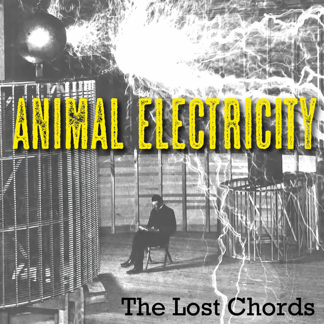 Animal Electricity cover
