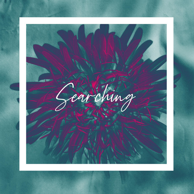 Searching cover art