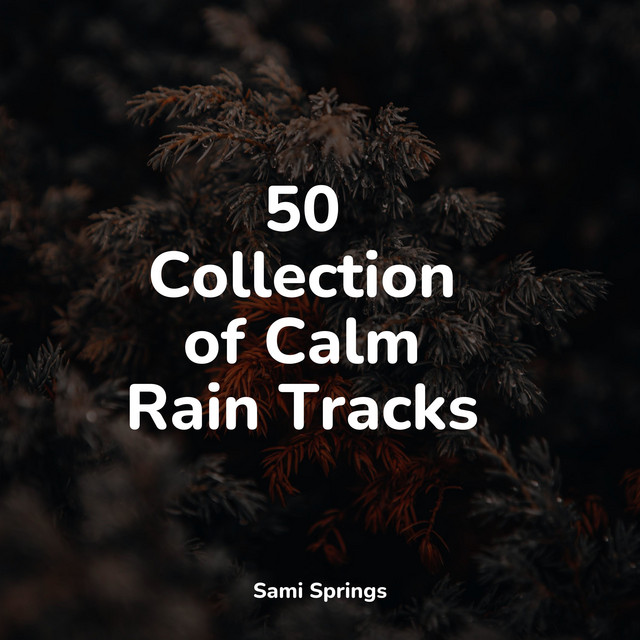 50 Collection of Calm Rain Tracks - Album by Music For Absolute Sleep ...