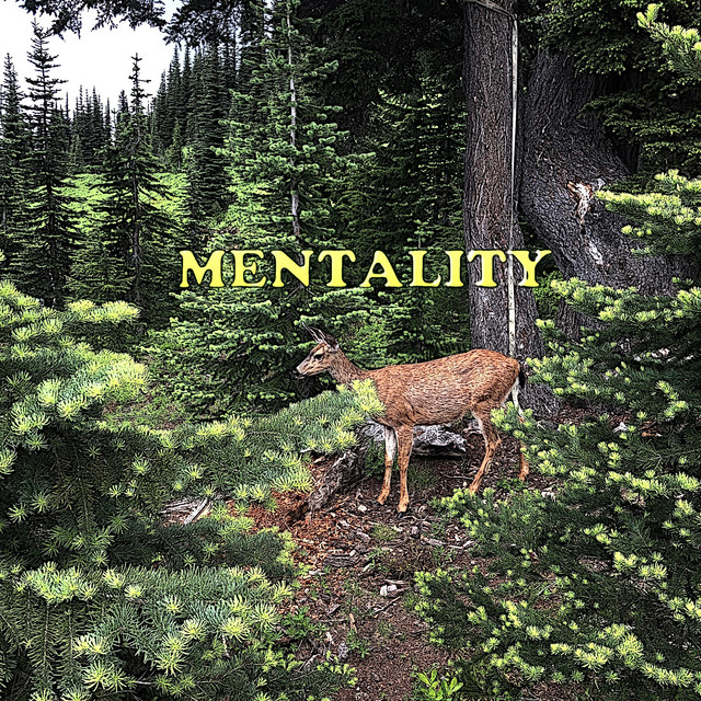 Mentality cover art