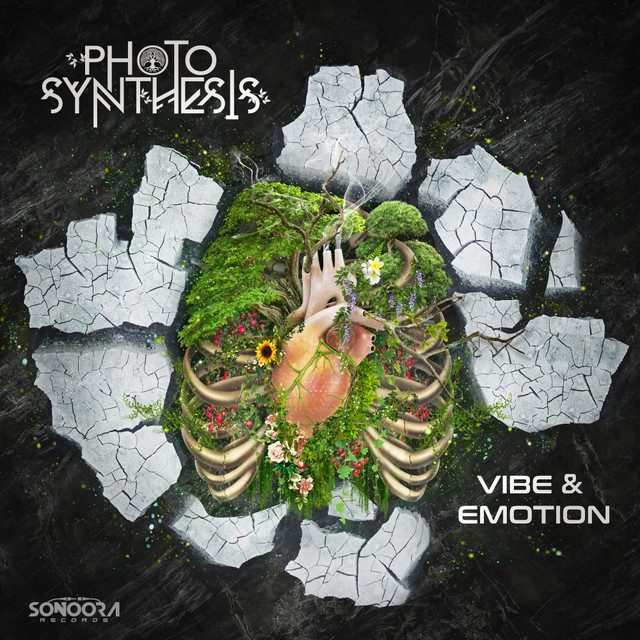 Vibe & Emotion cover art