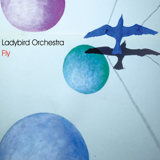 Fly