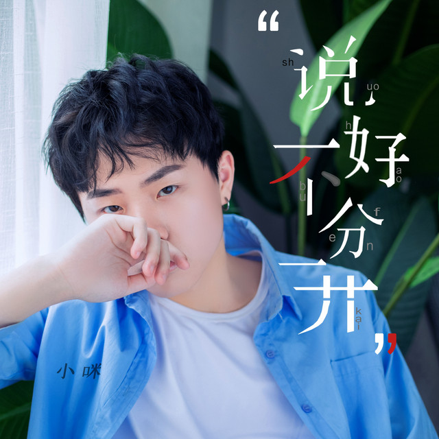 Capa de 说好的不分开 - 小咪