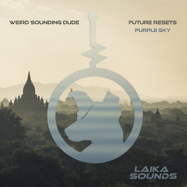 Future Resets album art