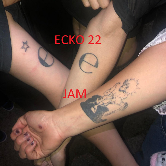 Ecko 22 cover art