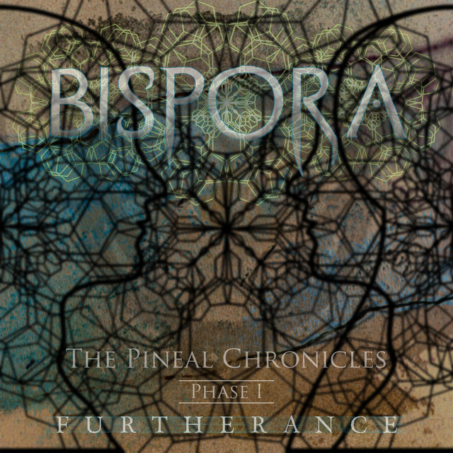Bispora Photo