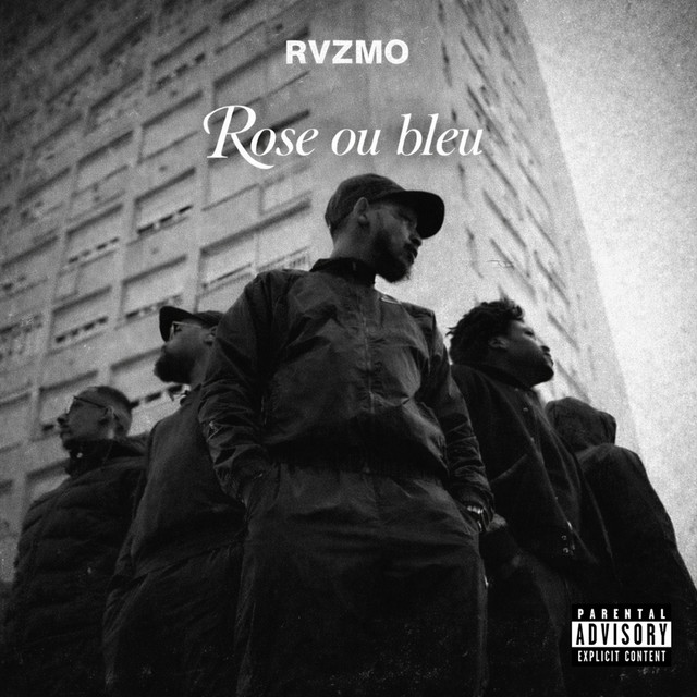 Album cover for Rose ou bleu by Rvzmo